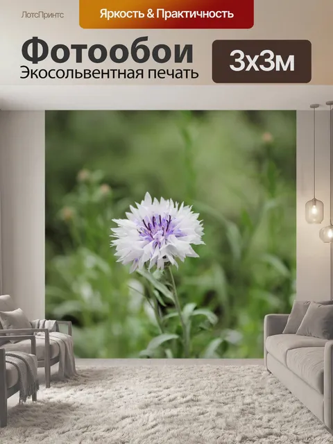 Фотообои Фон
