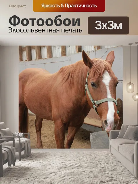 Фотообои Лошади