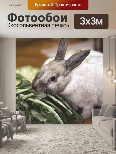 Фотообои Карликовый кролик