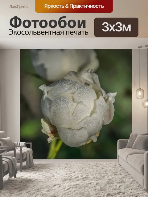 Фотообои Цвести