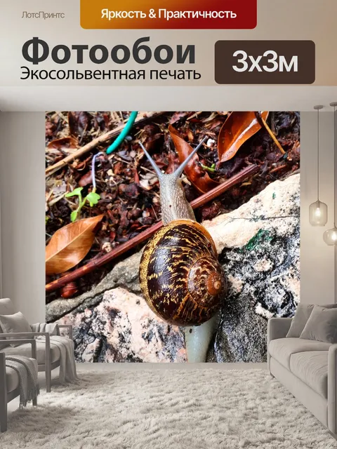 Фотообои Зима