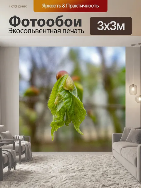 Фотообои Листья