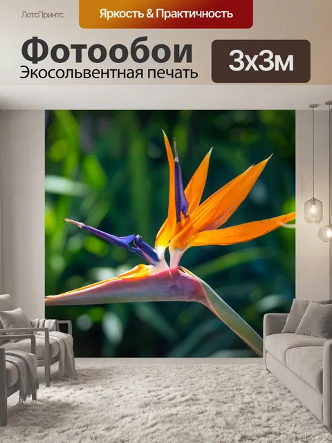 Фотообои Райская птица