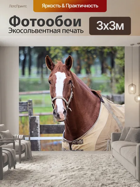 Фотообои Лошади