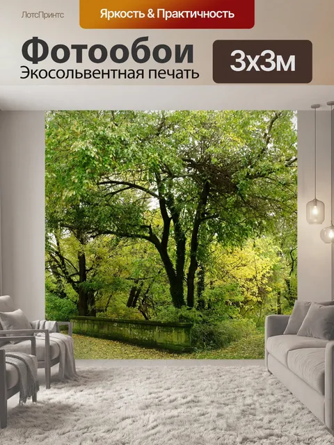 Фотообои деревья зеленые