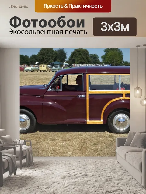 Фотообои Моррис Майнор Путешественник