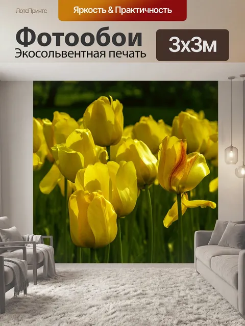 Фотообои Цветы