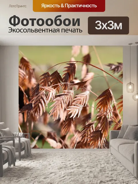 Фотообои Трава