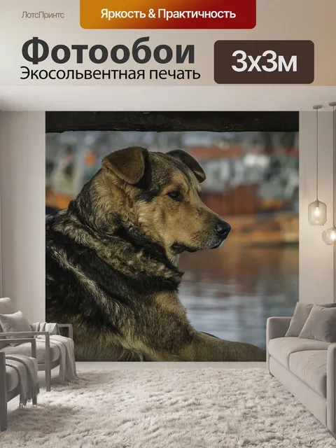 Фотообои Собака