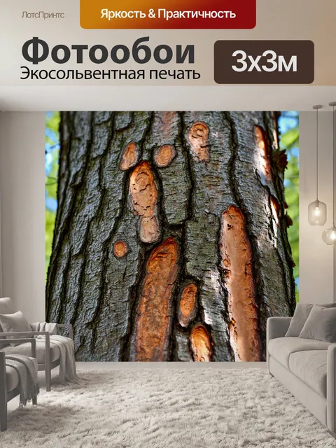 Фотообои текстура коры дерева