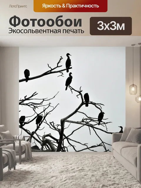 Фотообои Ушастого Бакланы