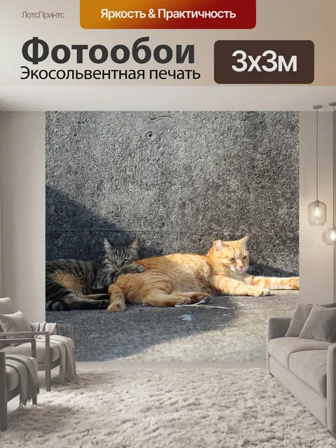 Фотообои Кошки
