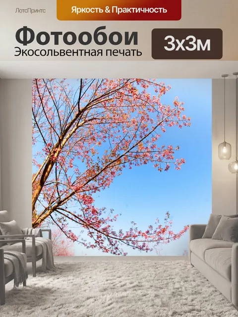 Фотообои Prunus cerasoides, дикая гималайская виш