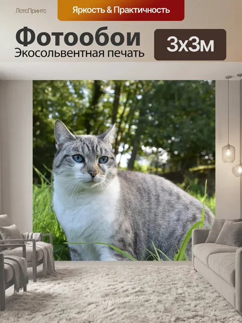 Фотообои Кошка