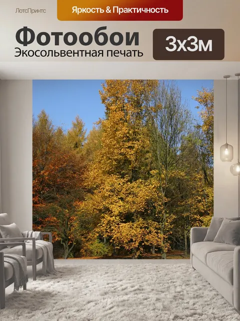 Фотообои Парк
