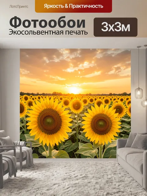 Фотообои Подсолнухи на закате