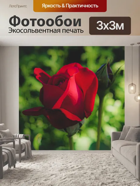 Фотообои Розовый