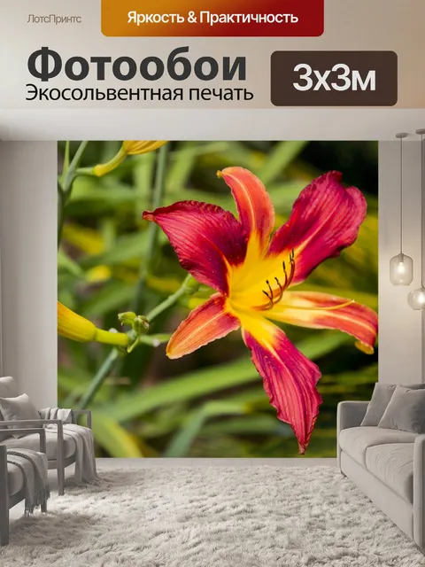 Фотообои Сад