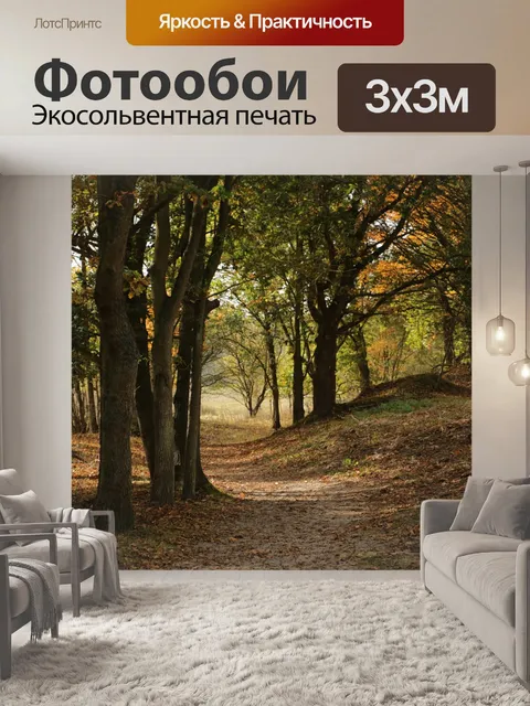 Фотообои Лес