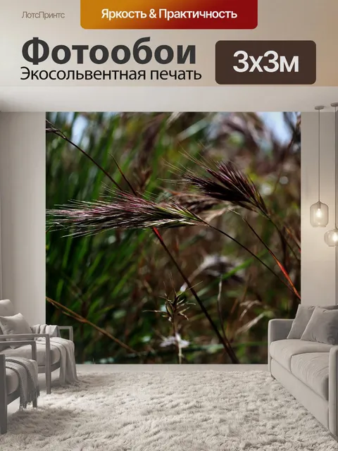 Фотообои Природа