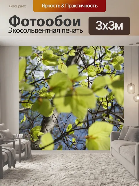 Фотообои Листья