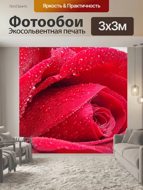 Фотообои Роза