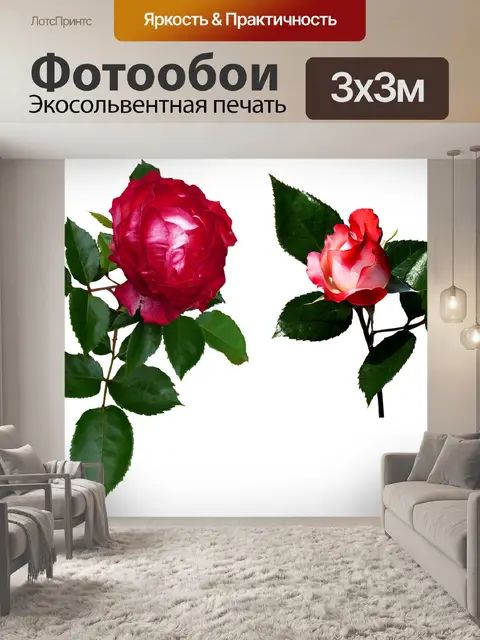 Фотообои Розы