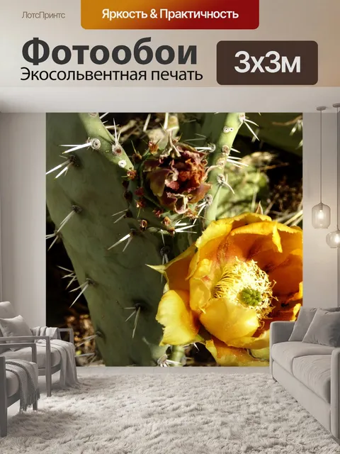 Фотообои Кактус Цветы