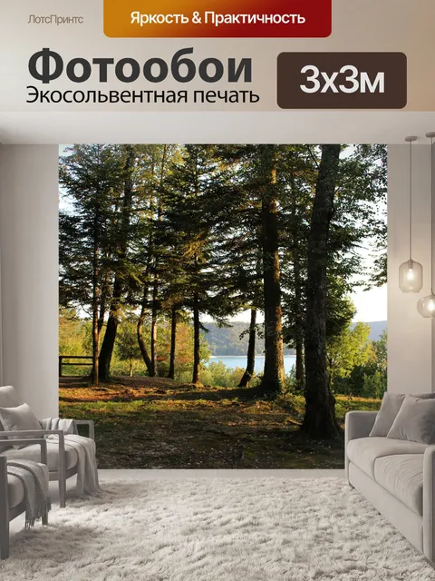 Фотообои Лес