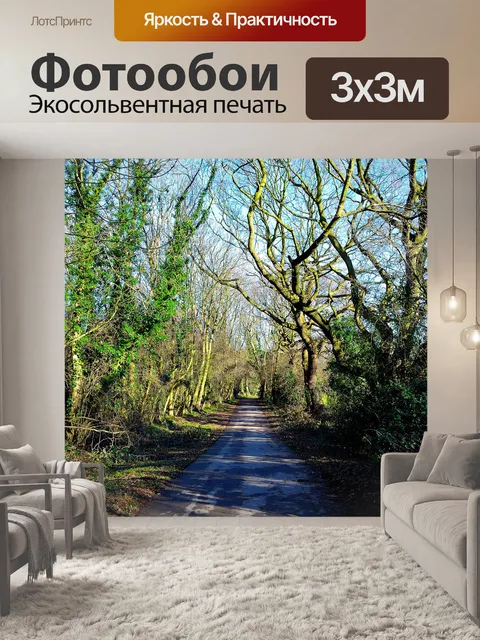 Фотообои Путь в лесу