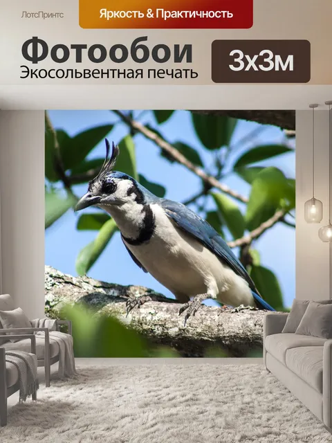 Фотообои Птицы
