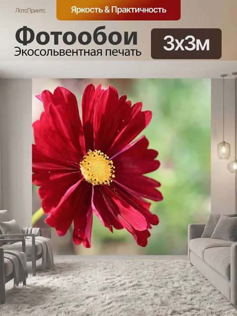 Фотообои Цветок