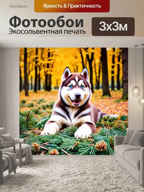 Фотообои Щенок хаски с голубыми глазами, лежит на лесной подстилке из сосновых иголок