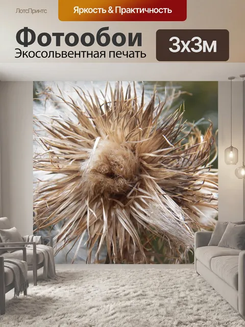 Фотообои Осенний цветок