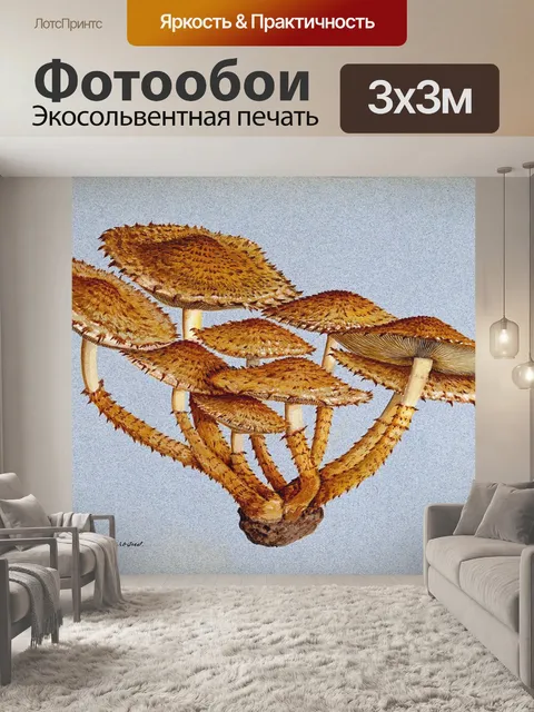 Фотообои Винтажная иллюстрация чемпиона грибов