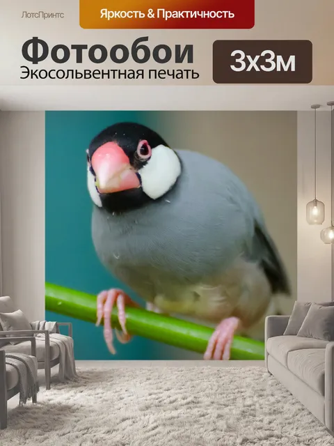Фотообои Птица