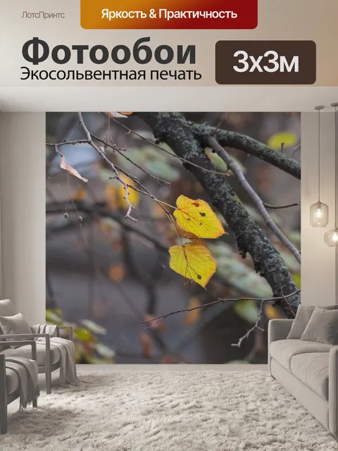 Фотообои Осень