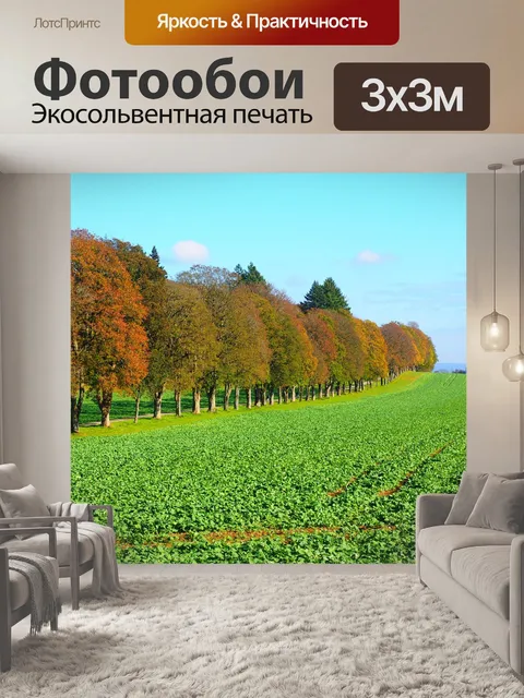 Фотообои Проспект