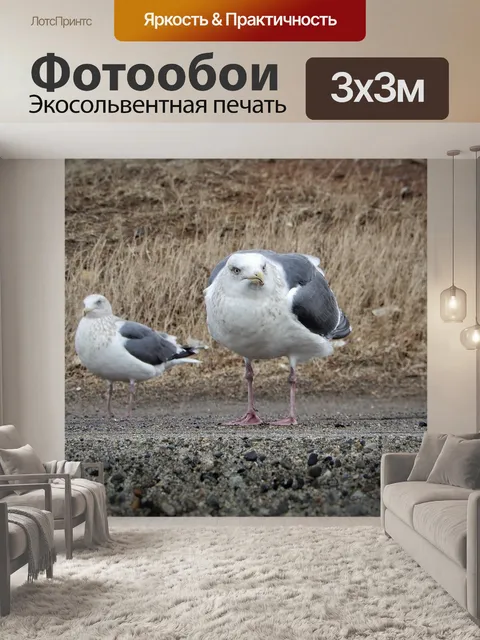 Фотообои Животное