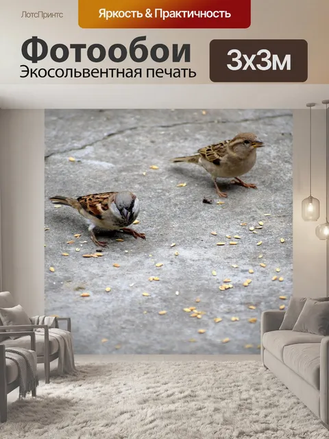 Фотообои Птицы