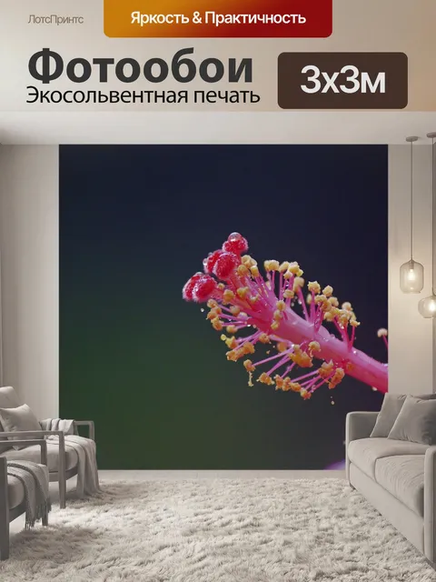 Фотообои Цветок