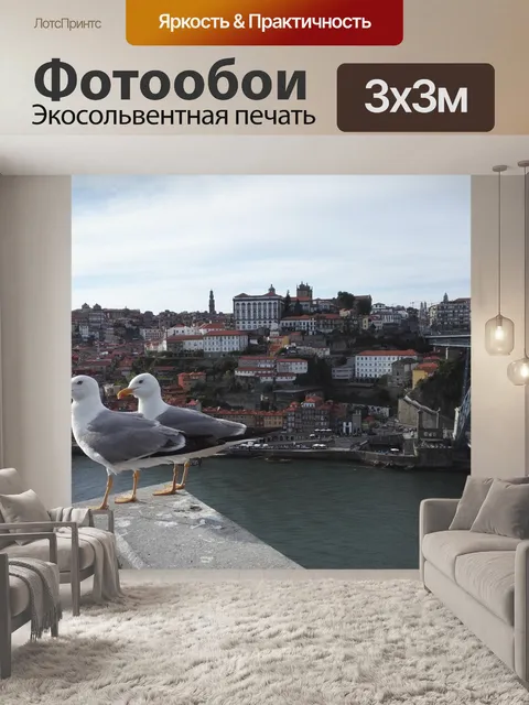 Фотообои Чайки