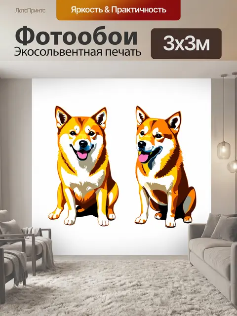 Фотообои собаки породы сиба-ину