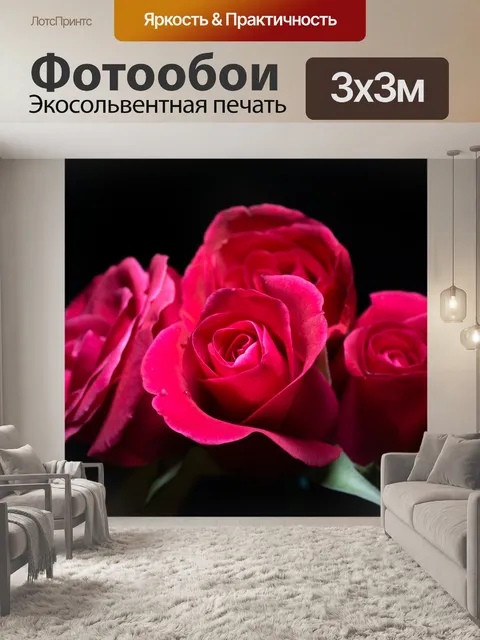 Фотообои Роза