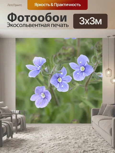 Фотообои Цветы