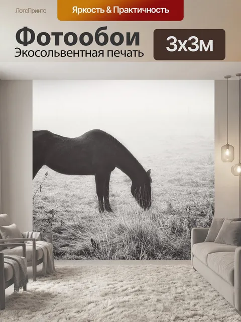 Фотообои Туман