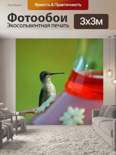 Фотообои Напевая кормушку