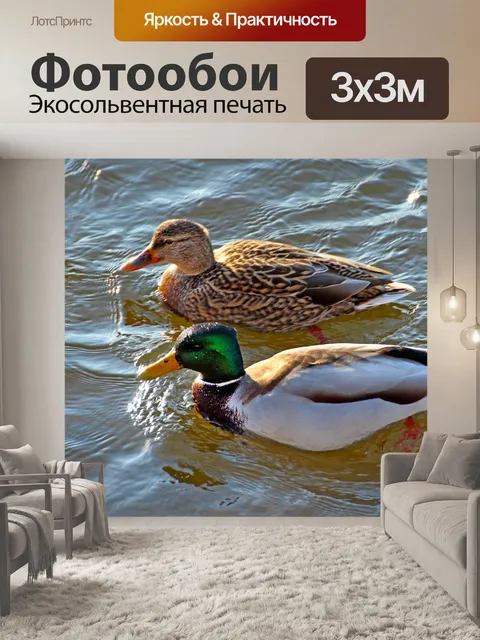 Фотообои Природа