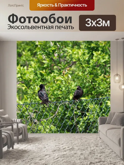 Фотообои Птицы