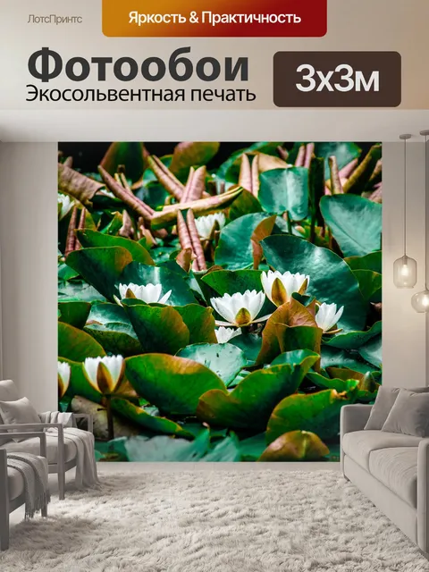 Фотообои Лотос